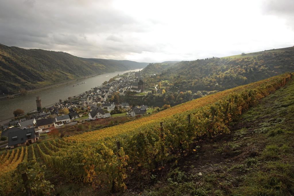 Gutsschaenke Sennerhof Hotel Oberwesel Luaran gambar