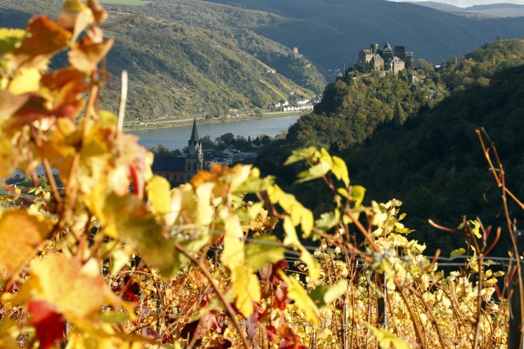 Gutsschaenke Sennerhof Hotel Oberwesel Luaran gambar